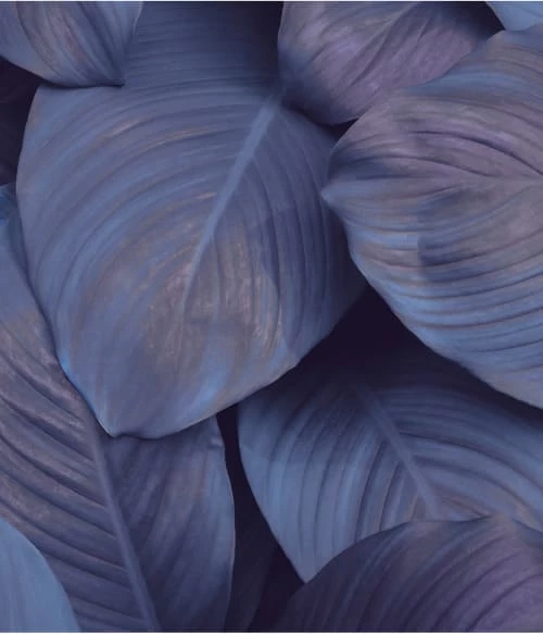 Abat-jours Lampadaires Abat-jour Lampadaire Floral Puja T 45 X H 25 5 Abat-jours Lampadaires Abat-jour Lampadaire Floral Puja T 45 X H 25 – Image 3